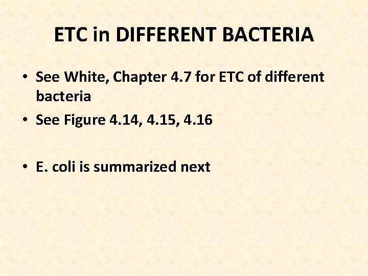 ETC in DIFFERENT BACTERIA • See White, Chapter 4. 7 for ETC of different