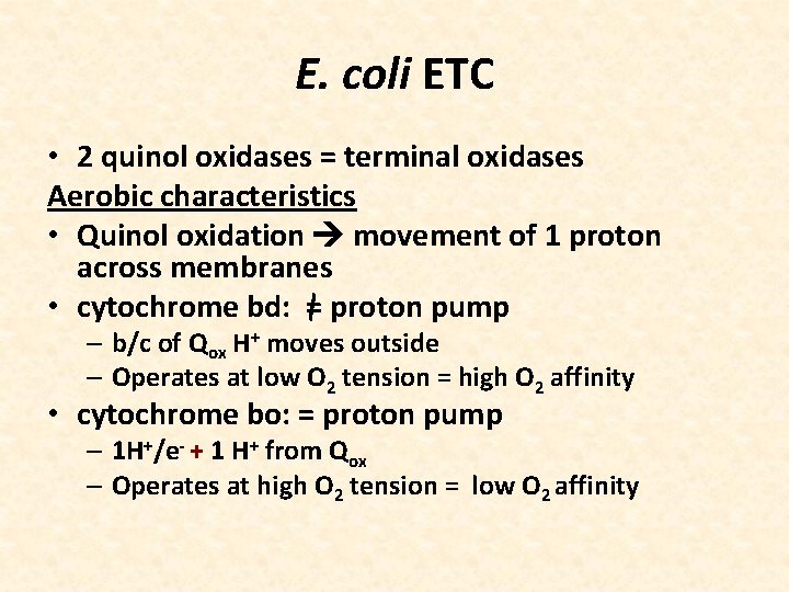 E. coli ETC • 2 quinol oxidases = terminal oxidases Aerobic characteristics • Quinol