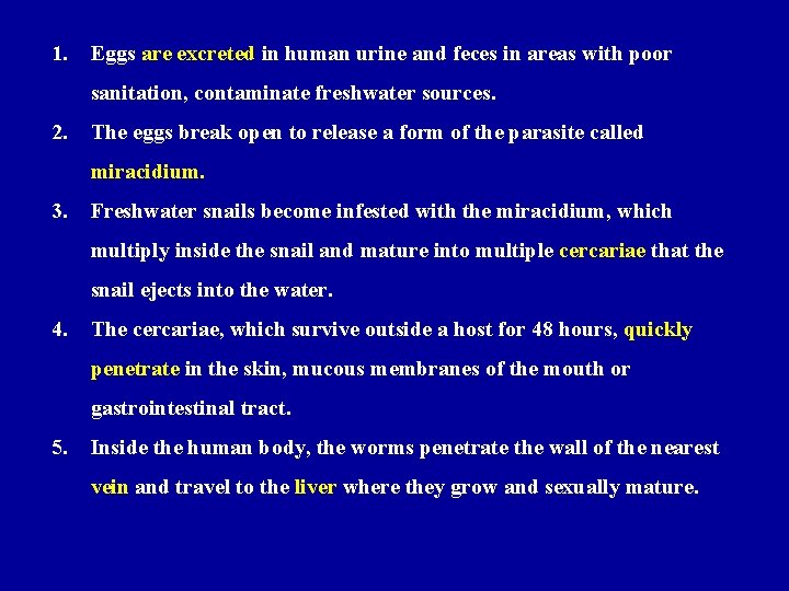 1. Eggs are excreted in human urine and feces in areas with poor sanitation,