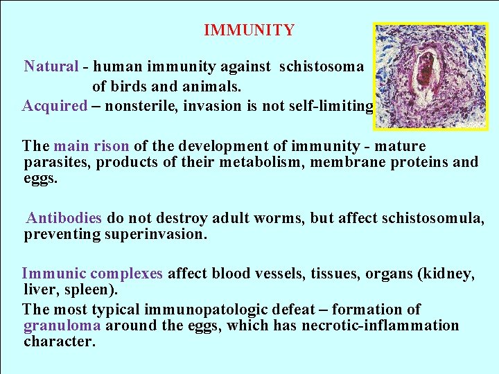 IMMUNITY Natural - human immunity against schistosoma of birds and animals. Acquired – nonsterile,