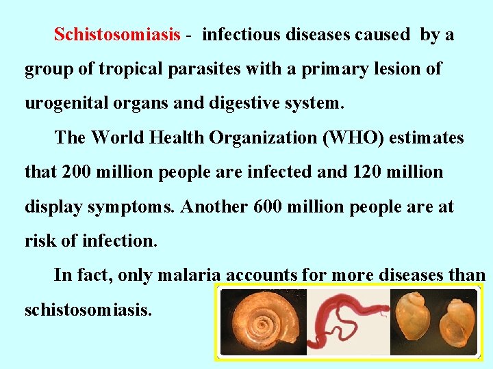 Schistosomiasis - infectious diseases caused by a group of tropical parasites with a primary