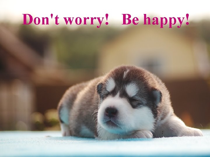 Don't worry! Be happy! 