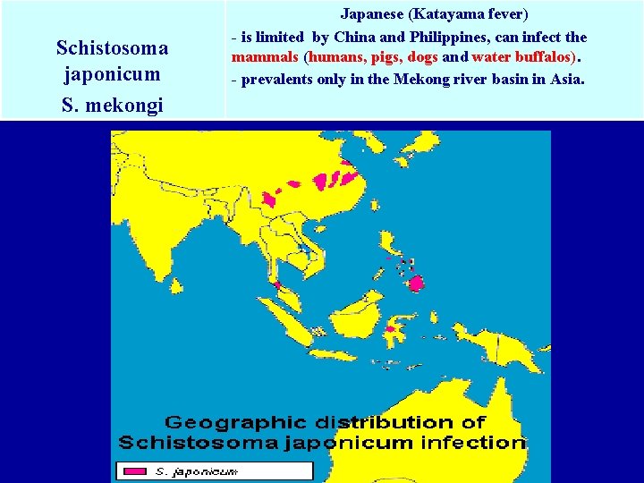 Schistosoma japonicum S. mekongi Japanese (Katayama fever) - is limited by China and Philippines,