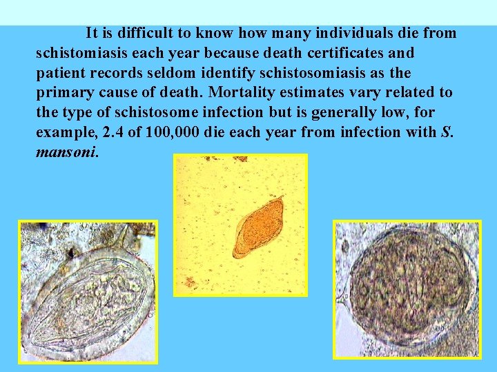 It is difficult to know how many individuals die from schistomiasis each year because