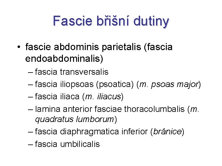Fascie břišní dutiny • fascie abdominis parietalis (fascia endoabdominalis) – fascia transversalis – fascia
