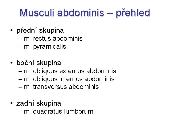 Musculi abdominis – přehled • přední skupina – m. rectus abdominis – m. pyramidalis