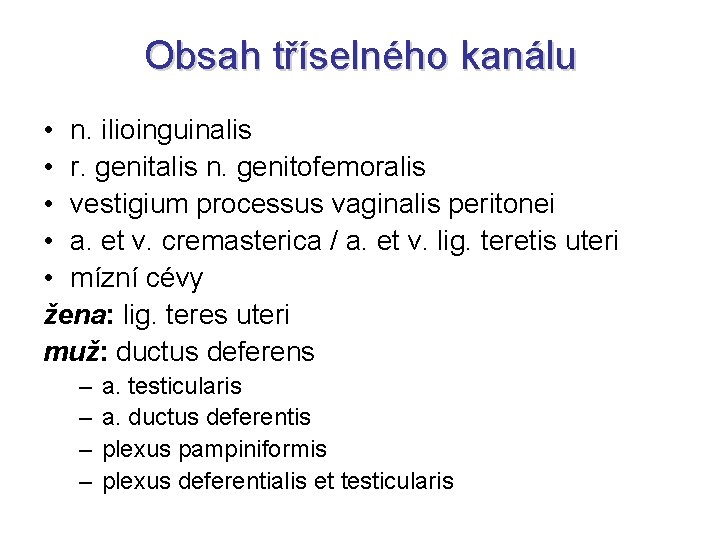 Obsah tříselného kanálu • n. ilioinguinalis • r. genitalis n. genitofemoralis • vestigium processus