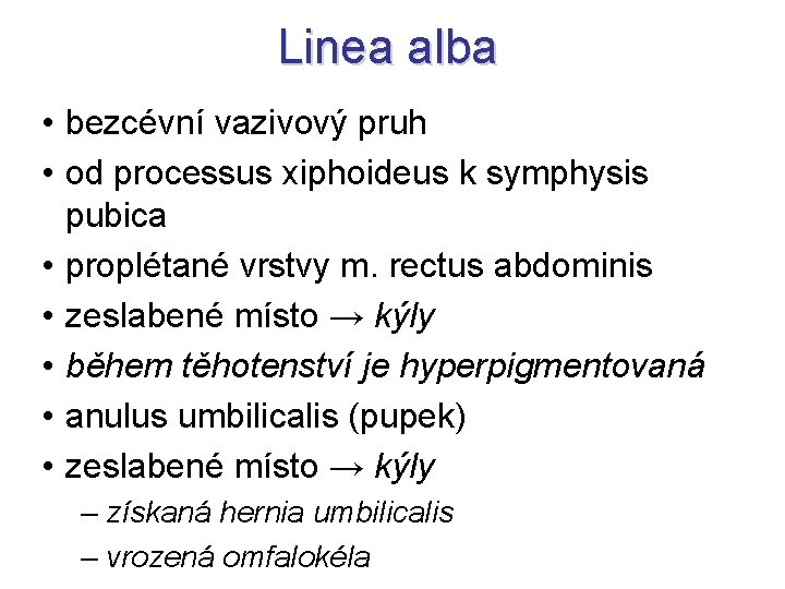 Linea alba • bezcévní vazivový pruh • od processus xiphoideus k symphysis pubica •
