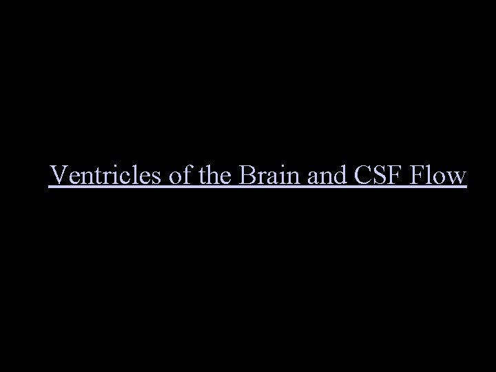 Ventricles of the Brain and CSF Flow 