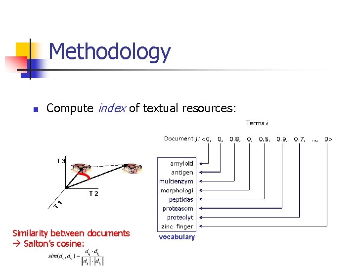Methodology n Compute index of textual resources: T 3 T 1 T 2 Similarity