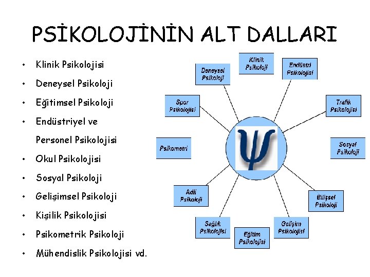 PSİKOLOJİNİN ALT DALLARI • Klinik Psikolojisi • Deneysel Psikoloji • Eğitimsel Psikoloji • Endüstriyel