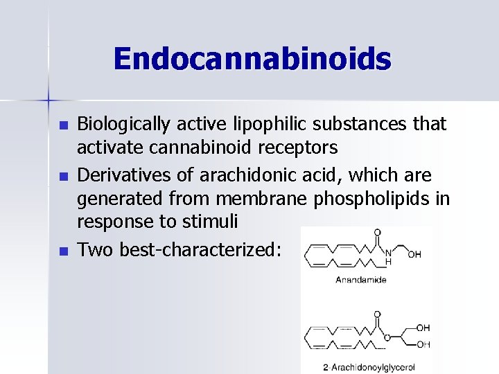 Endocannabinoids n n n Biologically active lipophilic substances that activate cannabinoid receptors Derivatives of