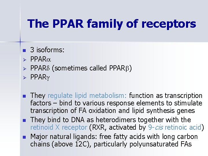 The PPAR family of receptors n Ø Ø Ø n n n 3 isoforms: