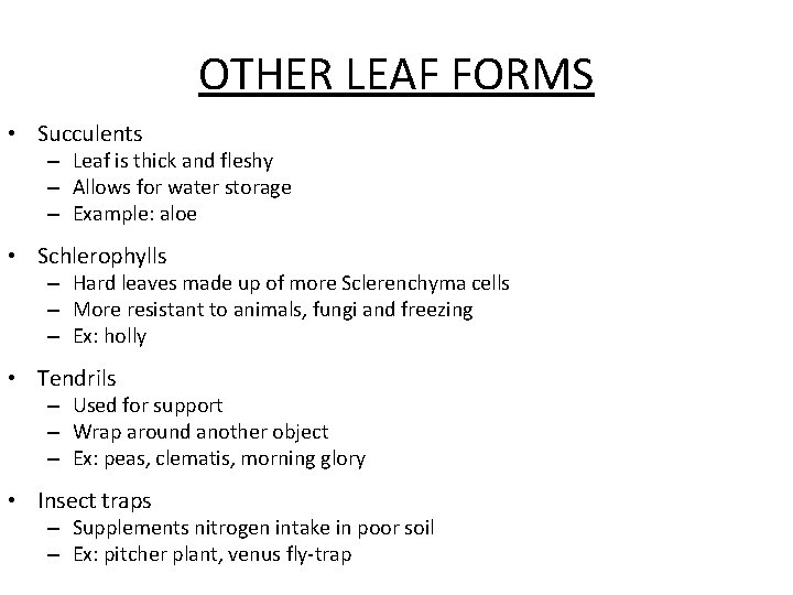 OTHER LEAF FORMS • Succulents – Leaf is thick and fleshy – Allows for