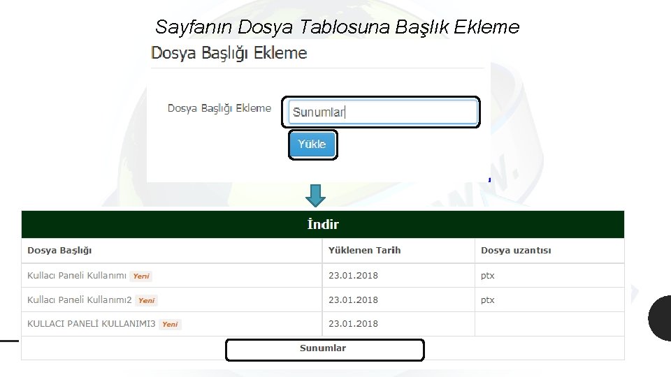 Sayfanın Dosya Tablosuna Başlık Ekleme 