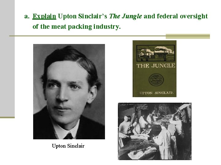 a. Explain Upton Sinclair’s The Jungle and federal oversight of the meat packing industry.