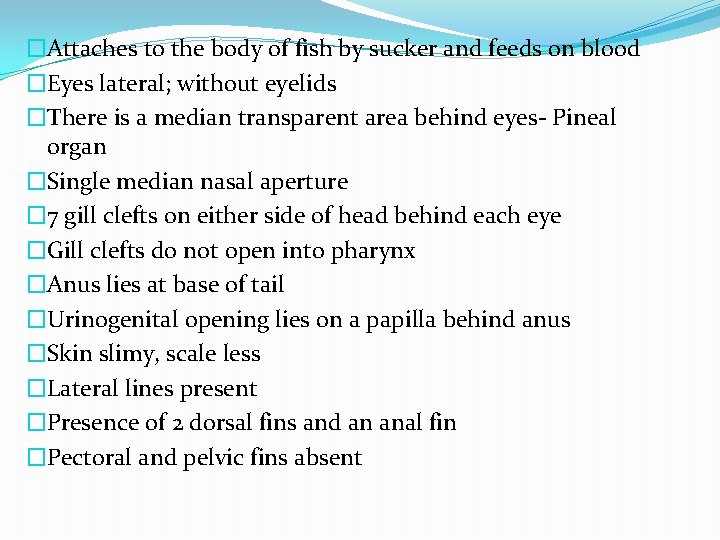 �Attaches to the body of fish by sucker and feeds on blood �Eyes lateral;