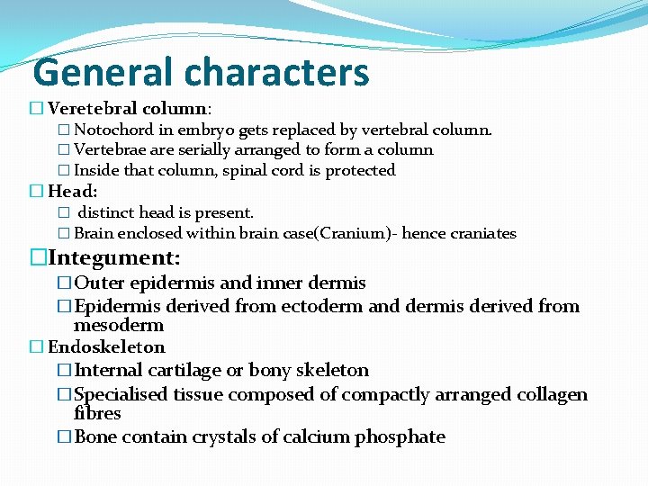 General characters � Veretebral column: � Notochord in embryo gets replaced by vertebral column.