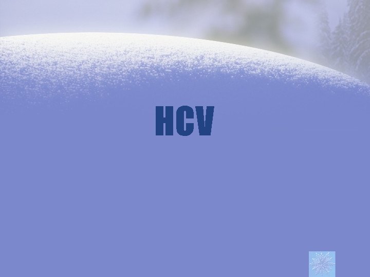 HCV 