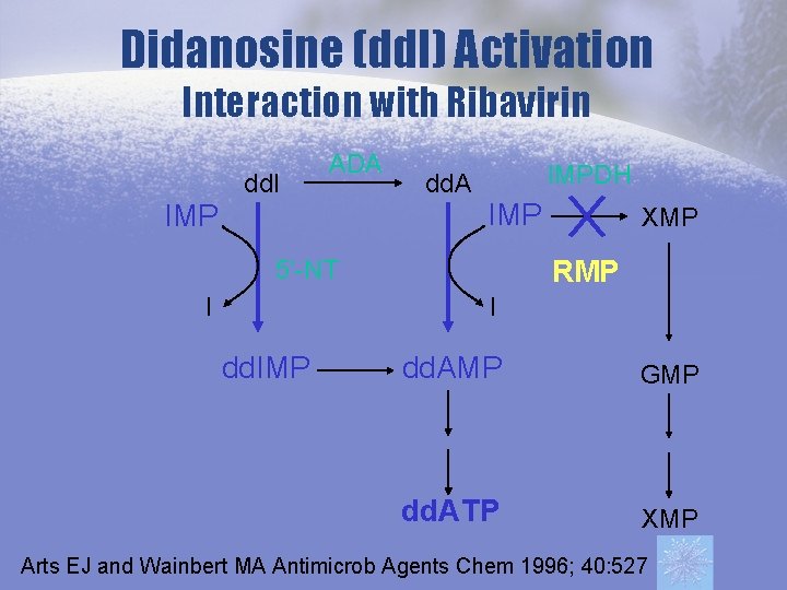 Didanosine (dd. I) Activation Interaction with Ribavirin IMP dd. I ADA dd. A IMPDH