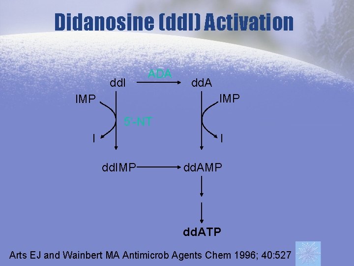 Didanosine (dd. I) Activation dd. I ADA dd. A IMP 5’-NT I I dd.