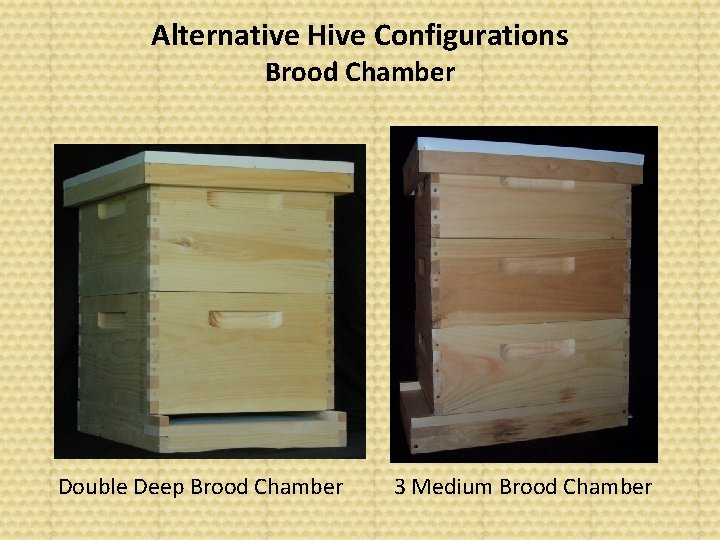 Alternative Hive Configurations Brood Chamber Double Deep Brood Chamber 3 Medium Brood Chamber 