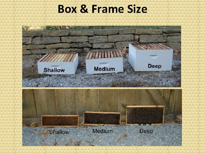 Box & Frame Size 