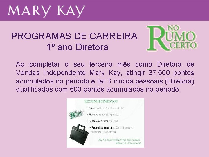 PROGRAMAS DE CARREIRA 1º ano Diretora Ao completar o seu terceiro mês como Diretora PROGRAMAS DE CARREIRA 1º ano Diretora Ao completar o seu terceiro mês como Diretora