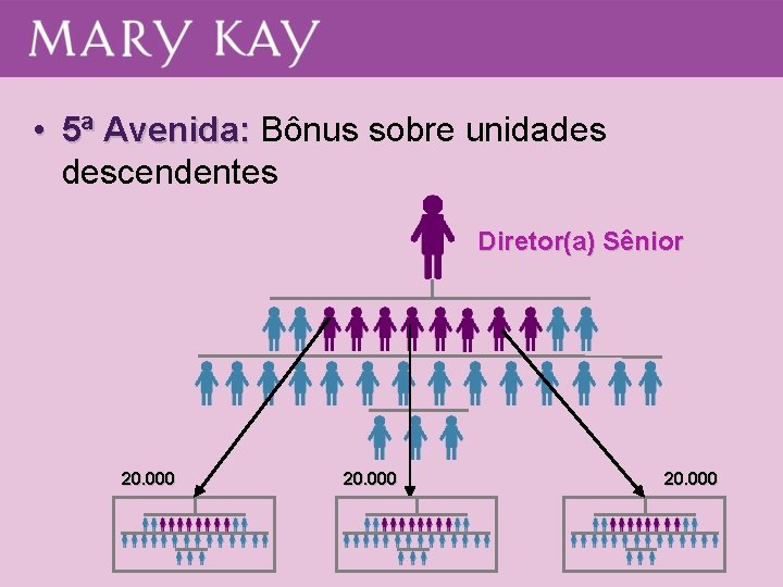 • 5ª Avenida: Bônus sobre unidades descendentes Diretor(a) Sênior 20. 000 • 5ª Avenida: Bônus sobre unidades descendentes Diretor(a) Sênior 20. 000
