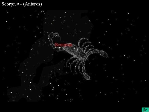 Scorpius - (Antares) 