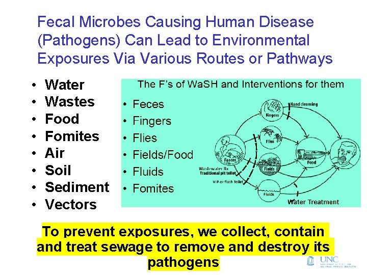 Fecal Microbes Causing Human Disease (Pathogens) Can Lead to Environmental Exposures Via Various Routes