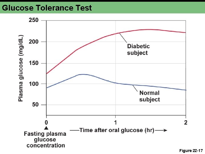 Glucose Tolerance Test Figure 22 -17 