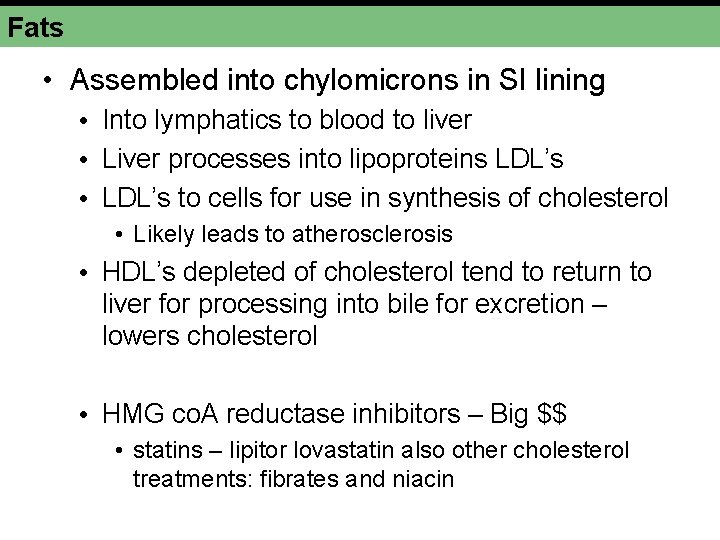 Fats • Assembled into chylomicrons in SI lining • Into lymphatics to blood to