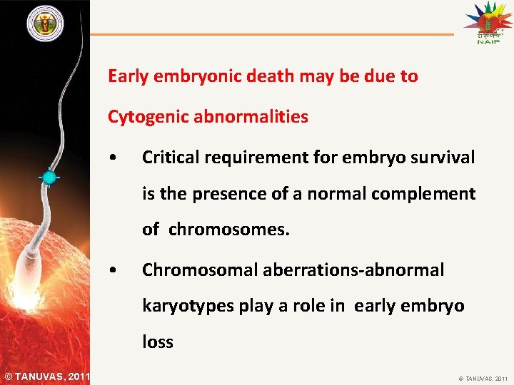 Early embryonic death may be due to Cytogenic abnormalities • Critical requirement for embryo