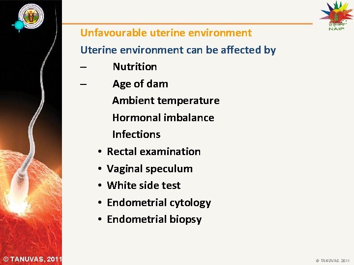Unfavourable uterine environment Uterine environment can be affected by – Nutrition – Age of