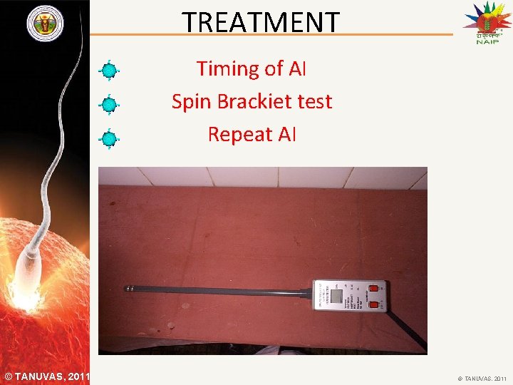 TREATMENT Timing of AI Spin Brackiet test Repeat AI © TANUVAS, 2011 