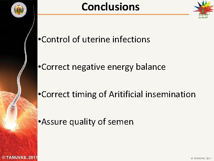 Conclusions • Control of uterine infections • Correct negative energy balance • Correct timing