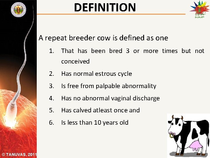 DEFINITION A repeat breeder cow is defined as one 1. That has been bred