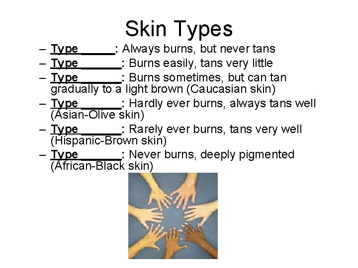 Skin Types – Type _____: Always burns, but never tans – Type ______: Burns