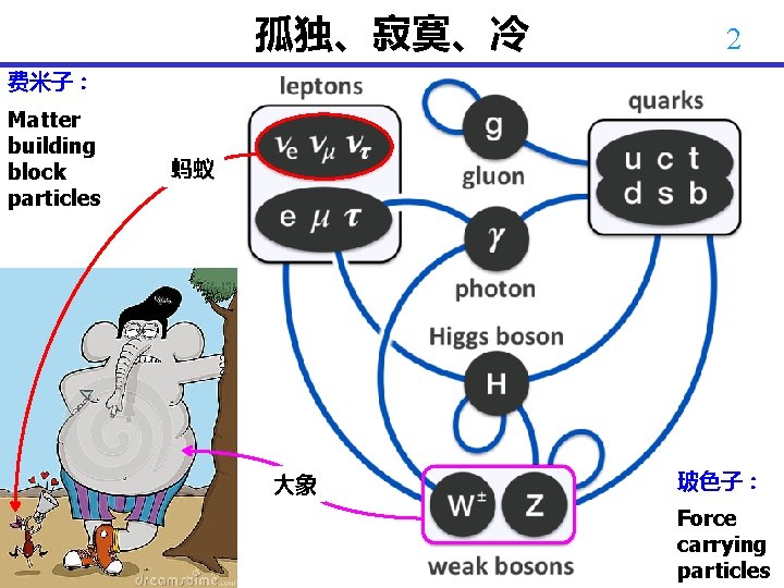 孤独、寂寞、冷 2 费米子： Matter building block particles 蚂蚁 大象 玻色子： Force carrying particles 