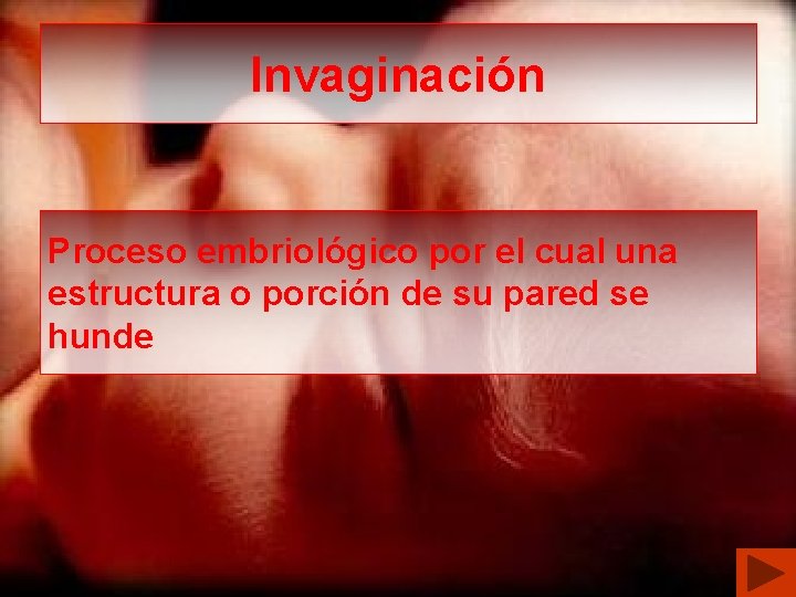 Invaginación Proceso embriológico por el cual una estructura o porción de su pared se