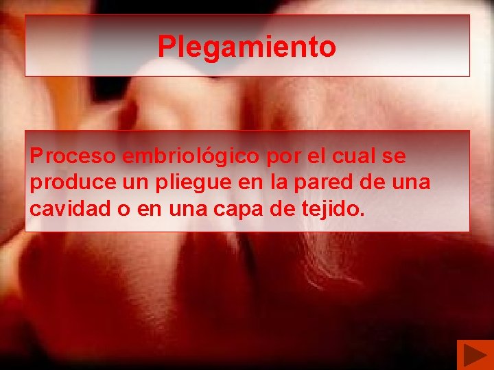 Plegamiento Proceso embriológico por el cual se produce un pliegue en la pared de