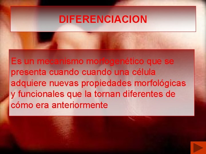 DIFERENCIACION Es un mecanismo morfogenético que se presenta cuando una célula adquiere nuevas propiedades
