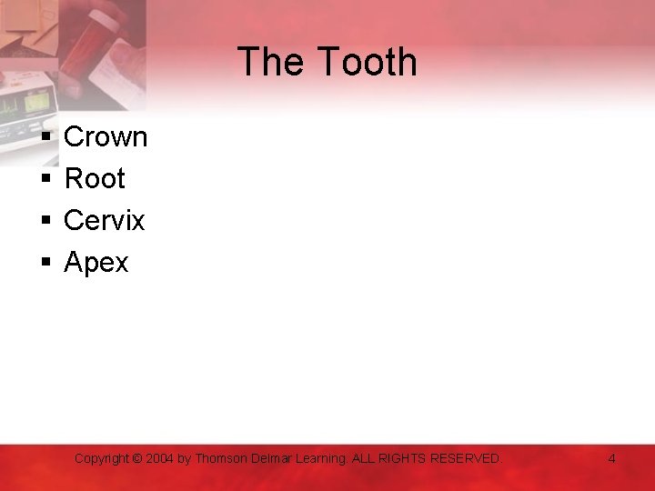 The Tooth § § Crown Root Cervix Apex Copyright © 2004 by Thomson Delmar