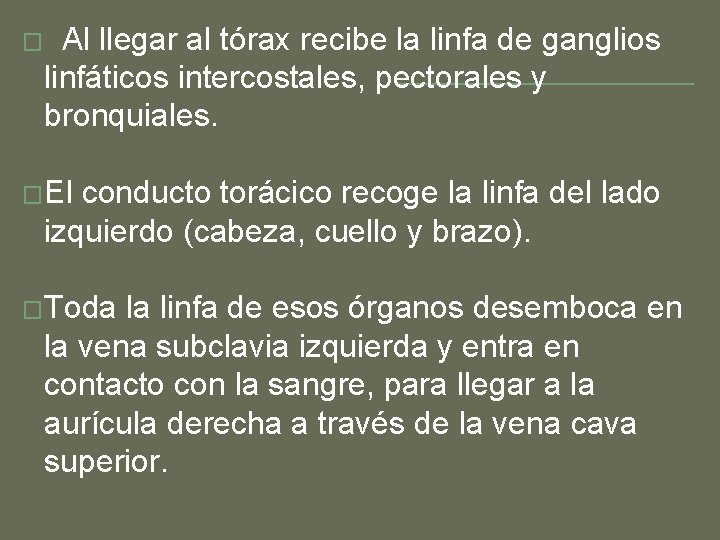 � Al llegar al tórax recibe la linfa de ganglios linfáticos intercostales, pectorales y