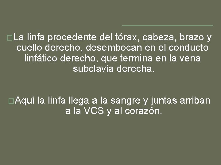 �La linfa procedente del tórax, cabeza, brazo y cuello derecho, desembocan en el conducto