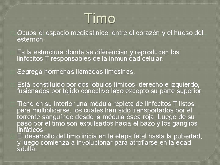 Timo � Ocupa el espacio mediastinico, entre el corazón y el hueso del esternón.