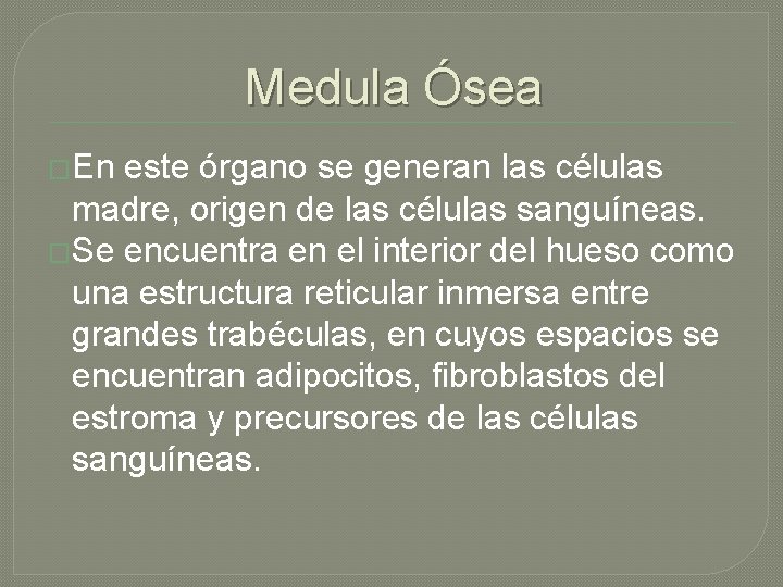 Medula Ósea �En este órgano se generan las células madre, origen de las células