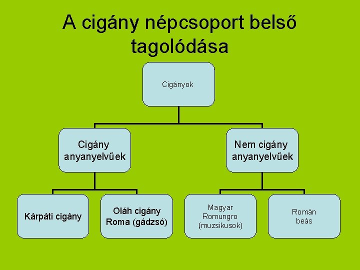 A cigány népcsoport belső tagolódása Cigányok Cigány anyanyelvűek Kárpáti cigány Oláh cigány Roma (gádzsó)