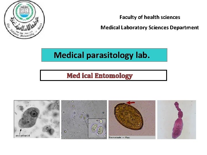 Faculty of health sciences Medical Laboratory Sciences Department Medical parasitology lab. Med ical Entomology